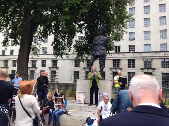 11693222_677594565673893_506226038_n