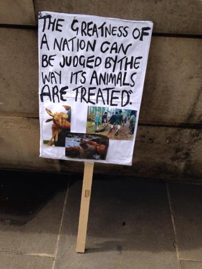 11749389_677592812340735_2035561270_n