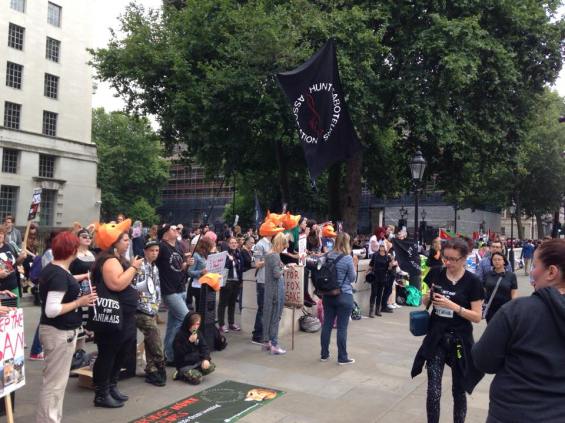 11753798_677592819007401_332848964_n