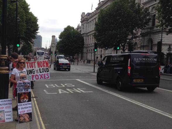 11759429_677592832340733_1739019107_n